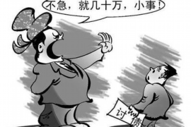 安康贷款清欠服务